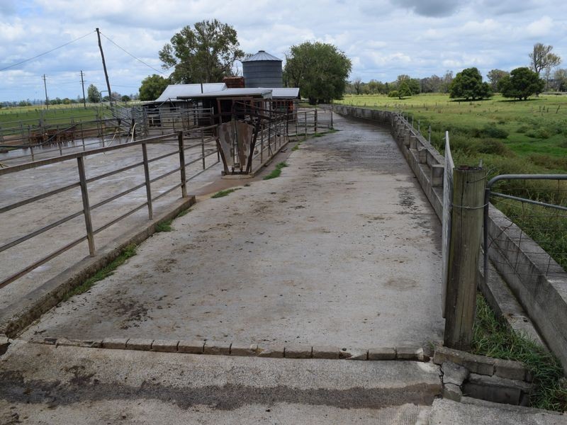 Four Farms Southgate Lawrence Road, Grafton NSW 2460