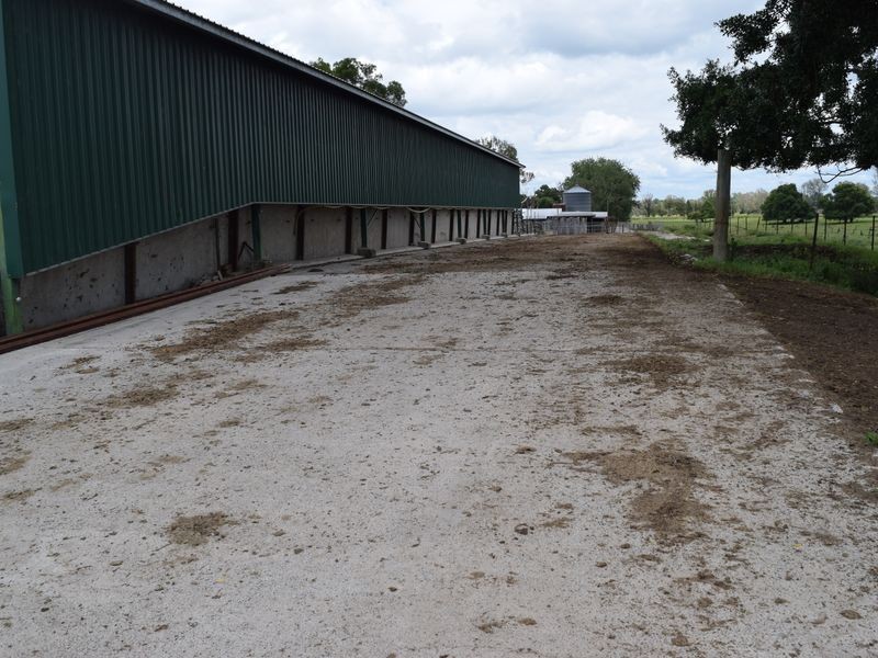 Four Farms Southgate Lawrence Road, Grafton NSW 2460