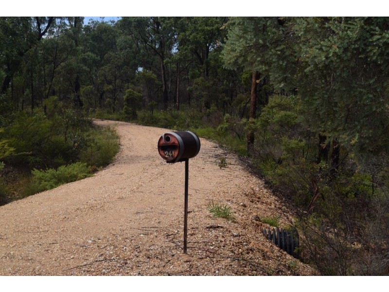 241 McGills Road, Kremnos NSW 2460