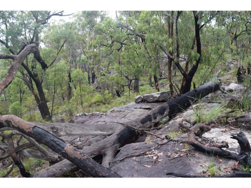 241 McGills Road, Kremnos NSW 2460