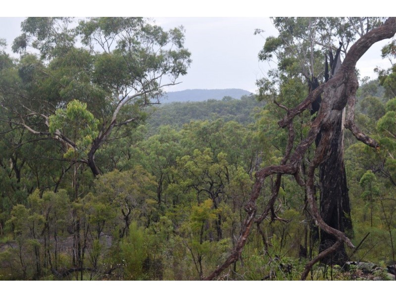 241 McGills Road, Kremnos NSW 2460