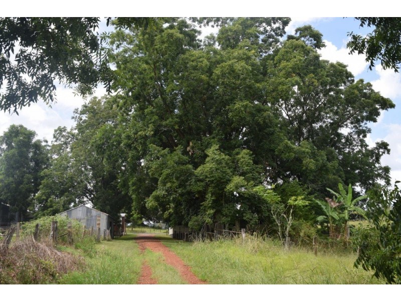 2363 Clarence Way, Copmanhurst NSW 2460