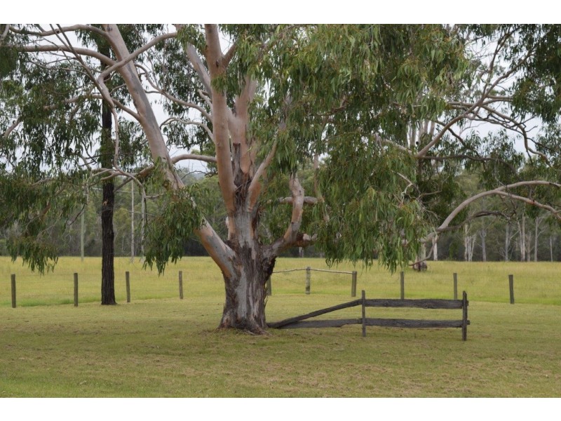 2745 Summerland Way, Dilkoon NSW 2460