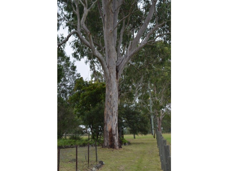 2745 Summerland Way, Dilkoon NSW 2460