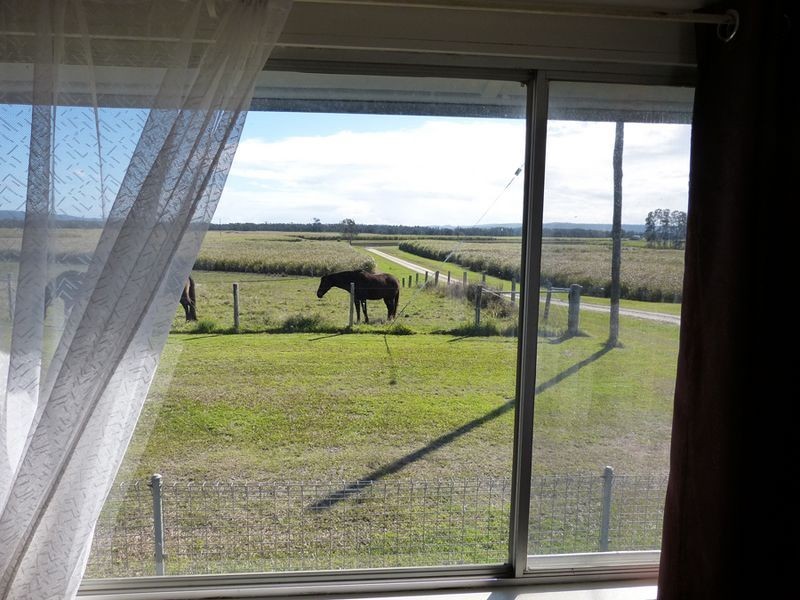 399 Back Kings Creek Road, Lawrence NSW 2460