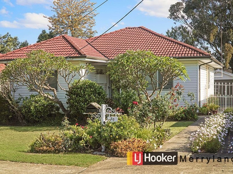 30 Wisdom Street, Guildford NSW 2161