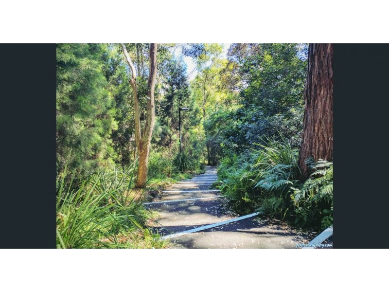 296 Glenmore Road, Paddington NSW 2021