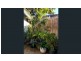 8 Ryder Street, Darlinghurst NSW 2010