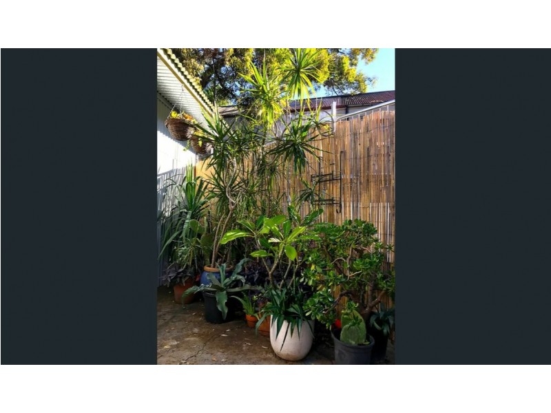 8 Ryder Street, Darlinghurst NSW 2010