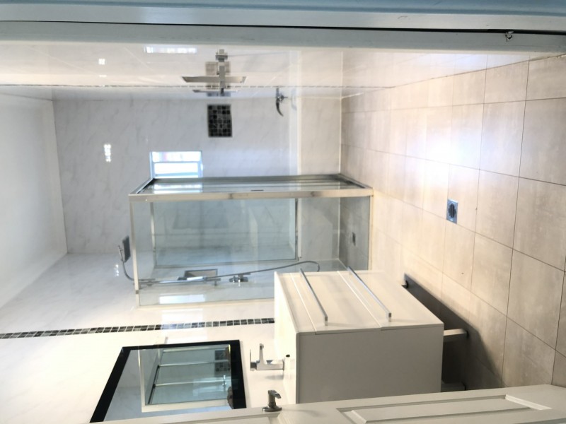 4 May street, Merrylands NSW 2160