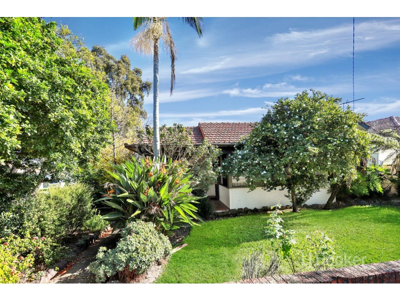 172 Blaxcell Street, Granville NSW 2142