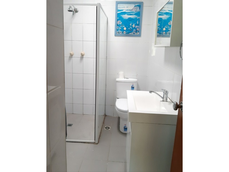 53 Chester Street, Merrylands NSW 2160