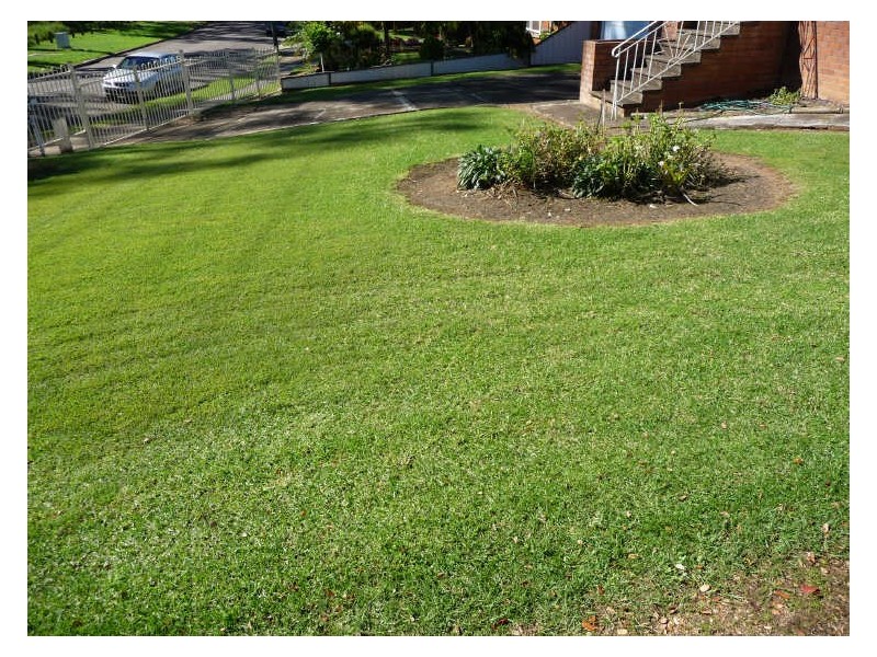 222 Macquarie Road, Greystanes NSW 2145