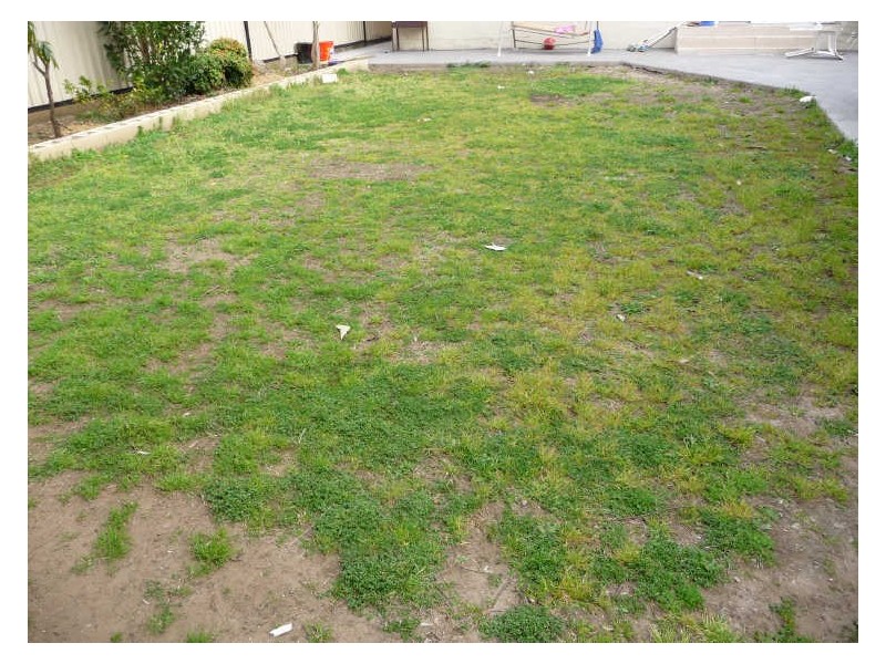 43 Baker Street, Merrylands NSW 2160