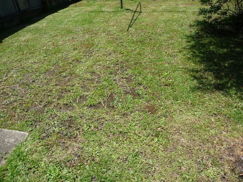 10 King Street, Guildford NSW 2161