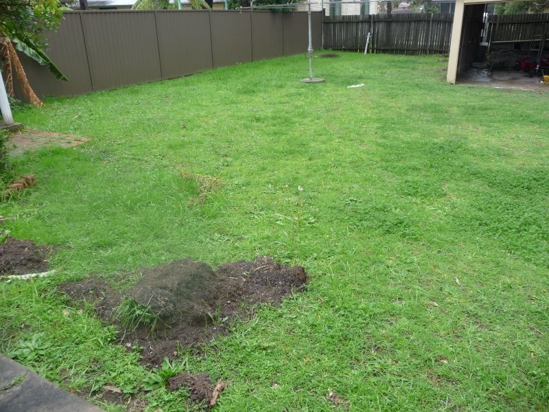 96 Betts Road, Merrylands West NSW 2160