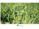 Lot 707 Beraking Loop, Dalyellup WA 6230