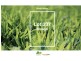 Lot 337 Tiffany Centre, Dalyellup WA 6230