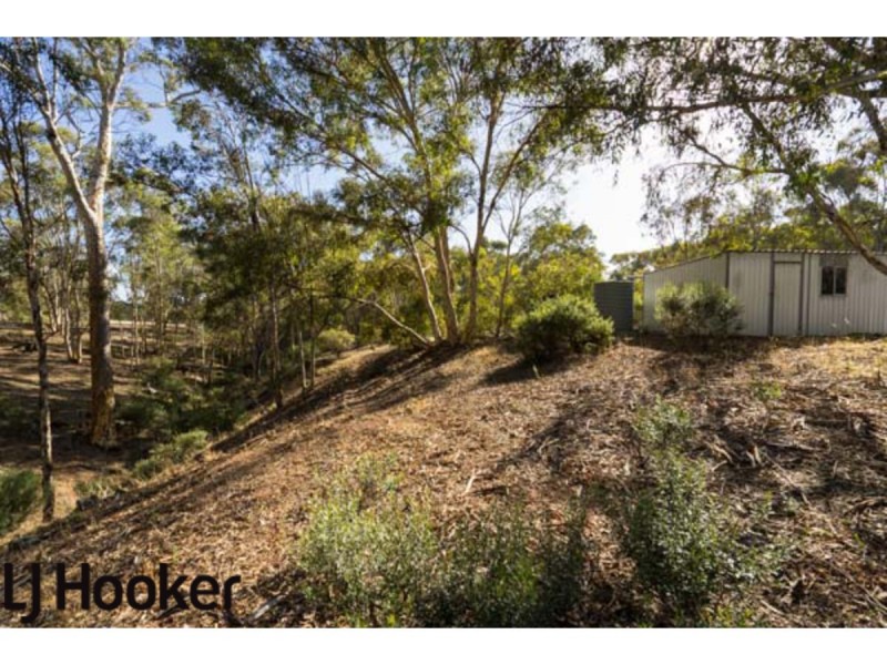 Lot 20 Frank Venn Road, Hoddys Well, Toodyay WA 6566