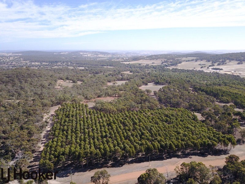 Lot 20 Frank Venn Road, Hoddys Well, Toodyay WA 6566