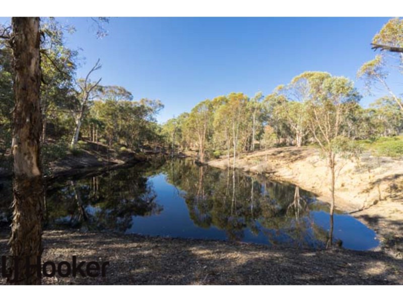 Lot 20 Frank Venn Road, Hoddys Well, Toodyay WA 6566