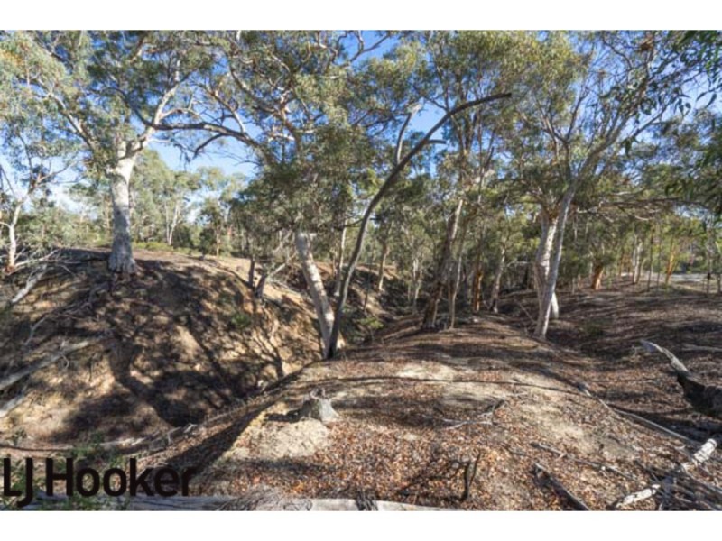 Lot 20 Frank Venn Road, Hoddys Well, Toodyay WA 6566