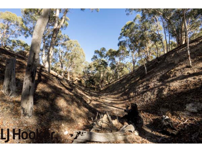 Lot 20 Frank Venn Road, Hoddys Well, Toodyay WA 6566