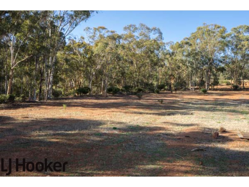 Lot 20 Frank Venn Road, Hoddys Well, Toodyay WA 6566