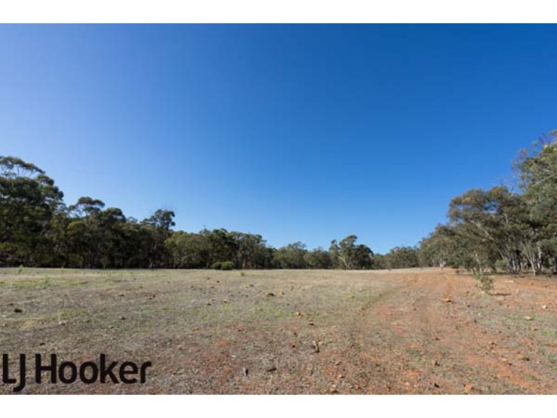 Lot 20 Frank Venn Road, Hoddys Well, Toodyay WA 6566