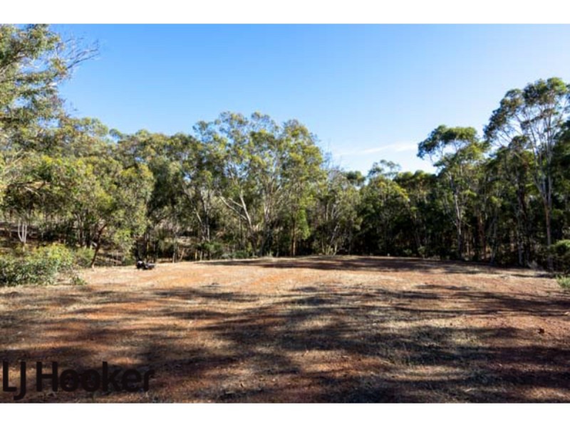 Lot 20 Frank Venn Road, Hoddys Well, Toodyay WA 6566