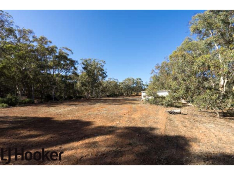 Lot 20 Frank Venn Road, Hoddys Well, Toodyay WA 6566