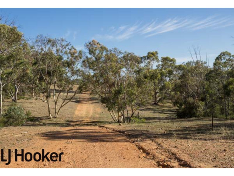 Lot 20 Frank Venn Road, Hoddys Well, Toodyay WA 6566