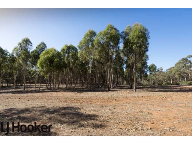 Lot 20 Frank Venn Road, Hoddys Well, Toodyay WA 6566