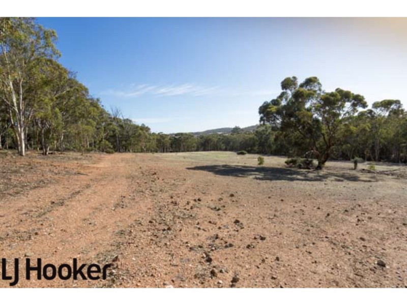 Lot 20 Frank Venn Road, Hoddys Well, Toodyay WA 6566