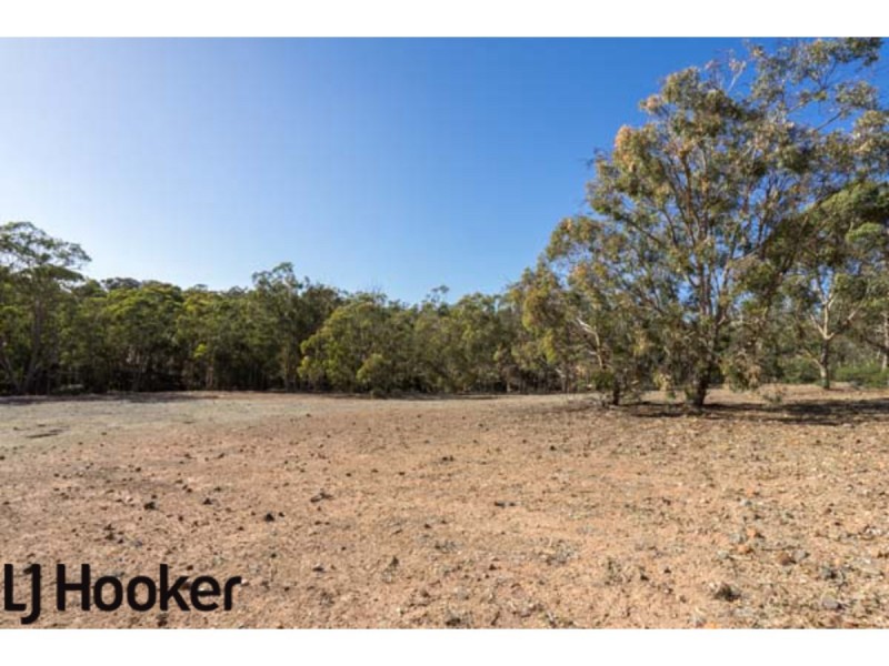 Lot 20 Frank Venn Road, Hoddys Well, Toodyay WA 6566
