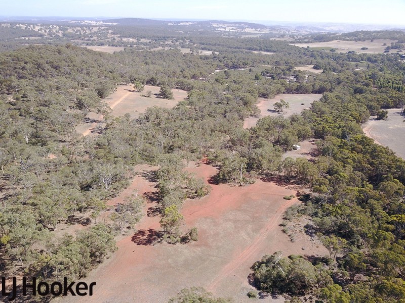Lot 20 Frank Venn Road, Hoddys Well, Toodyay WA 6566