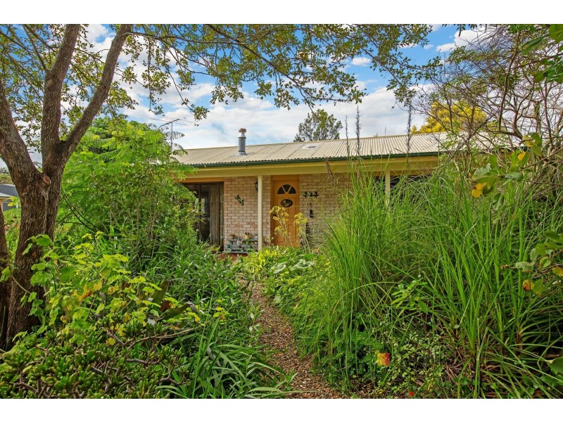 169 Wyee Road, Wyee NSW 2259