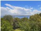 54 Terence Avenue, Lake Munmorah NSW 2259