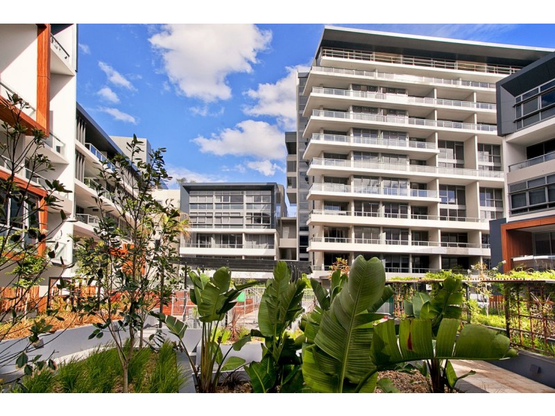 15/834 Bourke Street, Waterloo NSW 2017
