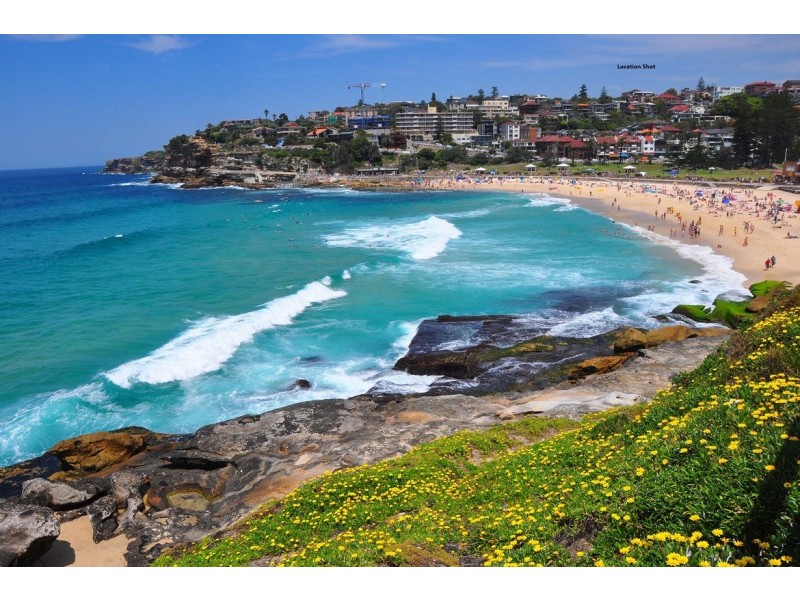 14/5-7 MacPherson Street, Waverley NSW 2024