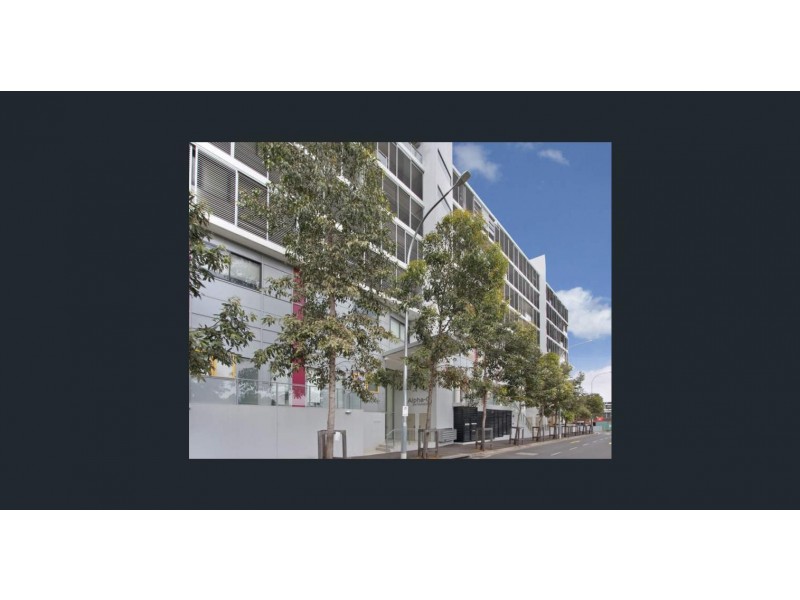 204/11A Lachlan Street, Waterloo NSW 2017