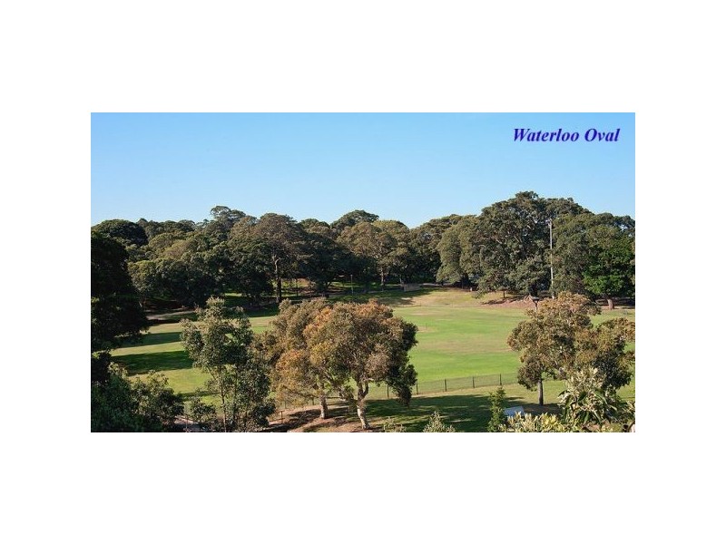 110/828 Elizabeth Street, Waterloo NSW 2017