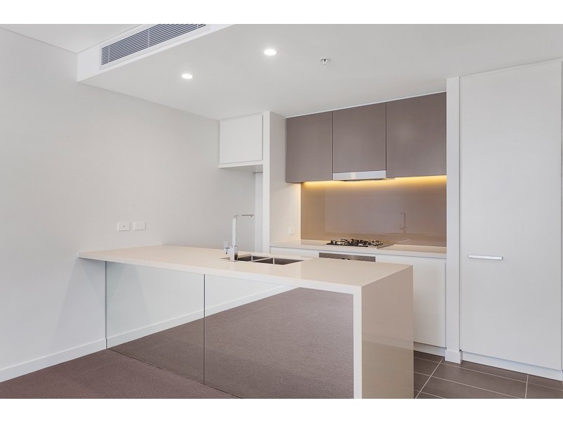 411/8 Sam Sing Street, Waterloo NSW 2017