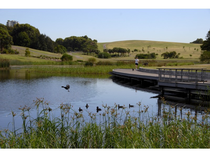 613/221-229 Sydney Park Road, Erskineville NSW 2043