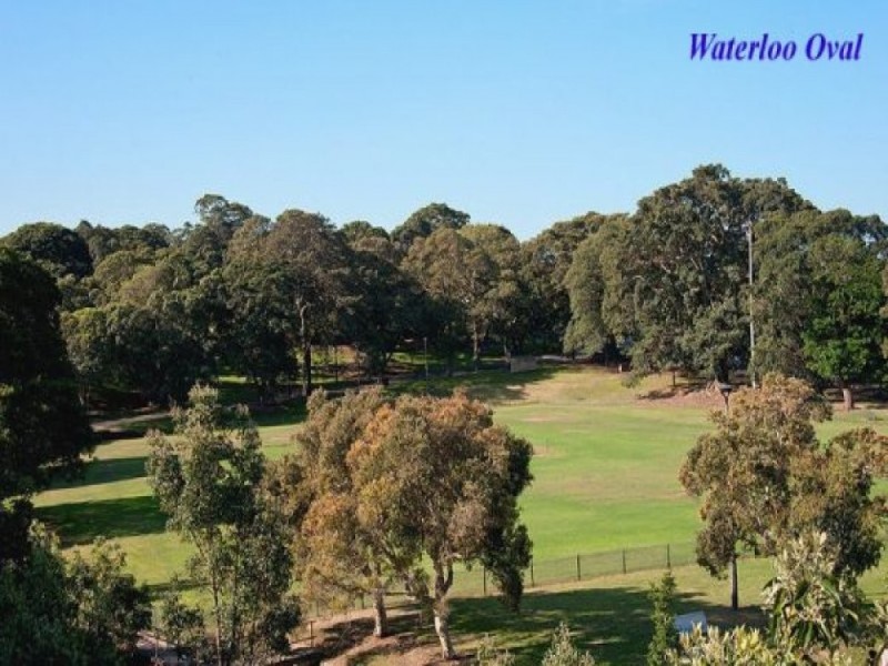 826B/824 Elizabeth Street, Waterloo NSW 2017