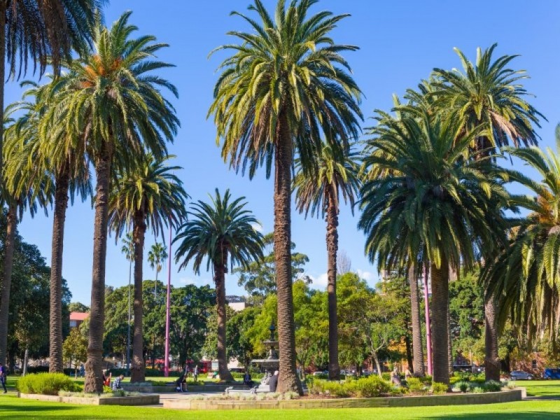 4/233 Cope Street, Waterloo NSW 2017