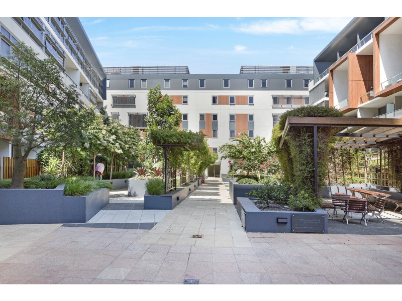 39/830 Bourke Street, Waterloo NSW 2017