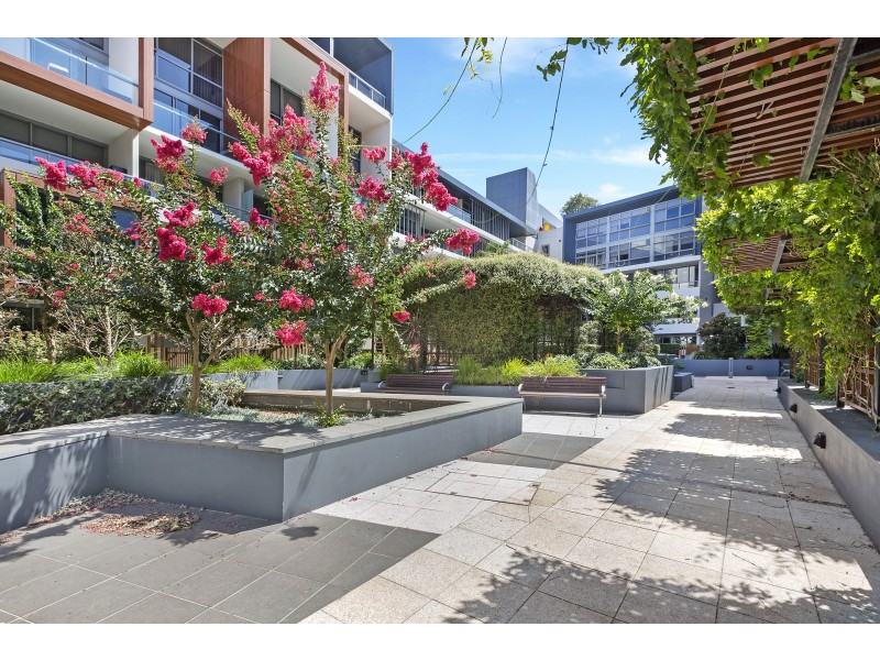 39/830 Bourke Street, Waterloo NSW 2017