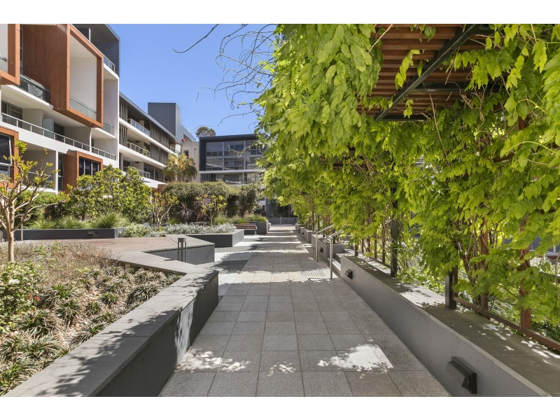 70/1 Thread Lane, Waterloo NSW 2017