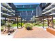 505/9 Archibald Avenue, Waterloo NSW 2017